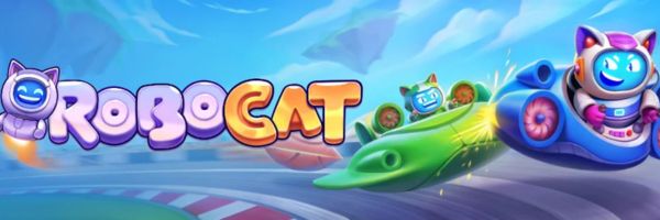 Robocat cashier page showing payout methods available to New Zealand players